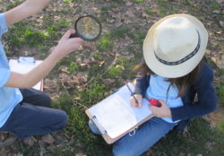 field study, observation, magnifying glass, nature, Nature Detectives, outside, science, evidence
