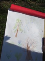 school, trees, evidence, field study, outdoors, nature, writing, drawing,