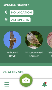 Seek, iNaturalist, mobile app, nature, learning, documentation, observation, photo, species, observe, photograph, challenges